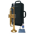 YAMAHA YTR-3335  труба Bb студенческая,  yellow brass, лак - золото