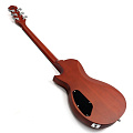EART EGLP-610 Honey Tea электрогитара, цвет санберст