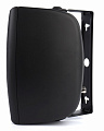 CVGaudio ODF608TBl Настенная акустическая система, IP54, цвет черный