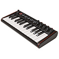 IK MULTIMEDIA iRig Keys 2 Mini USB MIDI-клавиатура для Mac и PC, 25 клавиш