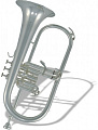 ROY BENSON FH-302S Bb Флюгельгорн (цвет серебро)