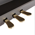 ROCKDALE Fantasia 64 Rosewood (RDP-7088) цифровое пианино, 88 клавиш. Цвет - розовое дерево (Палисандр)