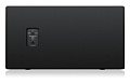 Turbosound MS218 пассивный сабвуфер 