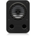 Tannoy CPA 5 акустическая система, чёрная, 5" ICT, программируемая мощность100 Вт, 4 Ом, 80 Гц - 22 кГц -3 дБ, SPL 113 дБ пик