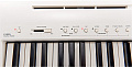 KAWAI ES100W Портативное цифровое пианино (без подставки), белый цвет, пластиковый корпус, механика AHA IV-F