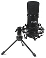PROAUDIO UM-300 Студийный микрофон c USB интерфейсом, 1'' диафрагма, 20-20000 Гц, 16 bit/48 кГц, держатель "паук", чехол, настольная стойка-тренога