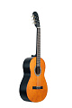 GEWApure Classical Guitar Basic Honey  Walnut 4/4 Классическая гитара, цвет натуральный