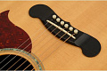 PLANET WAVES PWPS11 колышки для крепления струн к подставке (7шт/компл+1endpin) цвет слоновая кость