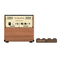 TC HELICON HARMONY V100  2-канальный комбоусилитель для акустической гитары/вокала, 100 Вт