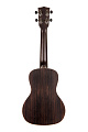 KALA KA-EBY-C Kala Ebony Concert Ukulele укулеле-концерт, цвет натуральный