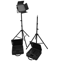 CHAUVET-DJ Cast Panel Pack универсальный мобильный комплект светового оборудования для блогеров. 2 светодиодных прожектора