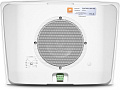 JBL Control HST-WH настенная акустическая система, цвет белый
