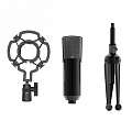 RITMIX RDM-160  студийный конденсаторный микрофон