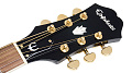 EPIPHONE PR-5E NATURAL GOLD HDWE электроакустическая гитара, цвет натуральный