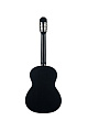 GEWApure Classical Guitar Basic Plus Natural 4/4 Классическая гитара