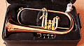 ROY BENSON FH-302G Bb Флюгельгорн (цвет золото)