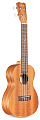 CORDOBA PROTEGE U1 Ukulele, укулеле концертная, корпус махагони, обработка матовая
