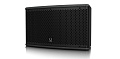 Turbosound ATHENS TCS62-R всепогодная 2-полосная инсталляционная акустическая система, цвет чёрный