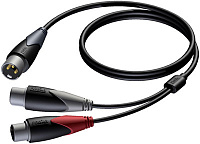Procab CLA736/2 Кабель-переходник с разъема XLR (вилка) на два разъема XLR (розетка), 2 м