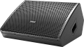 Audiocenter WM3210A активный напольный сценический монитор 2х10"