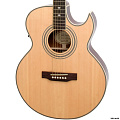EPIPHONE PR-5E NATURAL GOLD HDWE электроакустическая гитара, цвет натуральный
