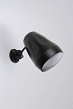 AuraSonics FLORET-5T подвесная акустическая система, цвет черный