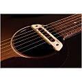 LR Baggs M80 активный/пассивный магнитный звукосниматель