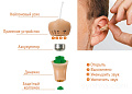 Phonak Invisity Four HA (169,4-176 МГц) миниатюрный радиомонитор (ушная вставка) с четырьмя программируемыми каналами