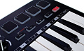 SAMSON Graphite M25 Mini  USB MIDI-клавиатура, 25 чувствительных к скорости нажатия клавиш, 4 триггерных пэда, назначаемые энкодеры и кнопки. Совместимость с iPad/PC/Mac. Вес 0,65 кг