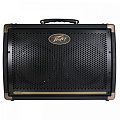 Peavey Ecoustic E208  комбоусилитель для акустической гитары с эффектами reverb и chorus