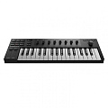 Native Instruments Komplete Kontrol M32  MIDI клавиатура, 32 мини-клавиши