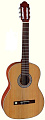 GEWA  PRO ARTE GC 242 II гитара классическая, верхняя дека массив кедра, глянцевый лак