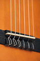 GEWApure Classical Guitar Basic Honey  Walnut 4/4 Классическая гитара, цвет натуральный