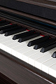 GEWA DP 345 Rosewood фортепиано цифровое, цвет венге