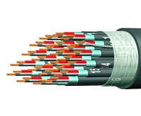 Proel CMI12 Мультикабель 12 изолированных пар: 2 х 0.22мм2 + экран: 1 х 0.22мм2  покрытый оловом+ алюминиевая фольга , огнеупорная изоляция  O14.8мм; цвет: черный