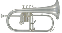 ROY BENSON FH-302S Bb Флюгельгорн (цвет серебро)