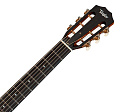 TAYLOR 312ce 12-Fret 300 Series гитара электроакустическая, форма корпуса Grand Concert, кейс