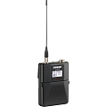 SHURE ULXD14DE P51 710 - 782 MHz двухканальная цифровая инструментальная радиосистема с портативными передатчиками ULXD1