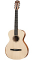 TAYLOR Academy 12-N Academy Series, Layered Sapele, Sitka Spruce Top, Nylon String Grand Concert гитара акустическая