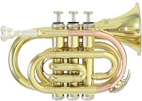 ROY BENSON PT-101 Bb Труба карманная