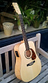 Norman STUDIO B50 PRESYS +Кейс электроакустическая гитара Dreadnought, цвет - натуральный