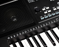 MEDELI M15 синтезатор с автоаккомпанементом, 61 активная клавиша, USB, полифония 32, функция обучения, записи