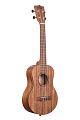 KALA KA-TEAK-T укулеле тенор, корпус тик, цвет натуральный