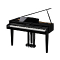 KAWAI DG30 EP цифровое пианино 