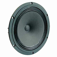Visaton B 200/6 Головка динамическая 20 см, 6 Ом, 40 Вт