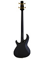 ARIA SB-BK&GD Бас гитара электрическая "Clifford Lee Burton", корпус: ольха, гриф: 7 слойный клен/орех