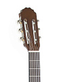 GEWA pure Classical Guitar Basic Honey Walnut 3/4 Классическая гитара