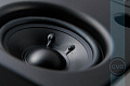 CVGaudio RF416TBl Настенная акустическая система, цвет черный