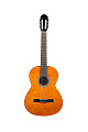 GEWApure Classical Guitar Basic Plus Natural 4/4 Классическая гитара