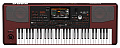 KORG PA1000 профессиональная аранжировочная станция